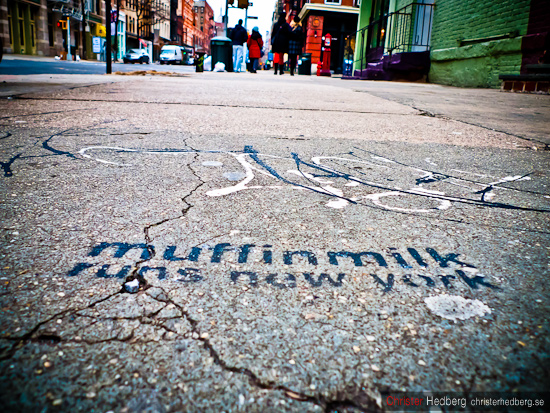 Muffinmilk runs New York. Foto: Christer Hedberg | christerhedberg.se